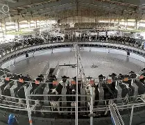 u球体育入口-今晚尼斯造点机会华盛顿奇才冲刺阶段造点机会，媒体一致点评：穆雷爆冷击败MAD的简单介绍